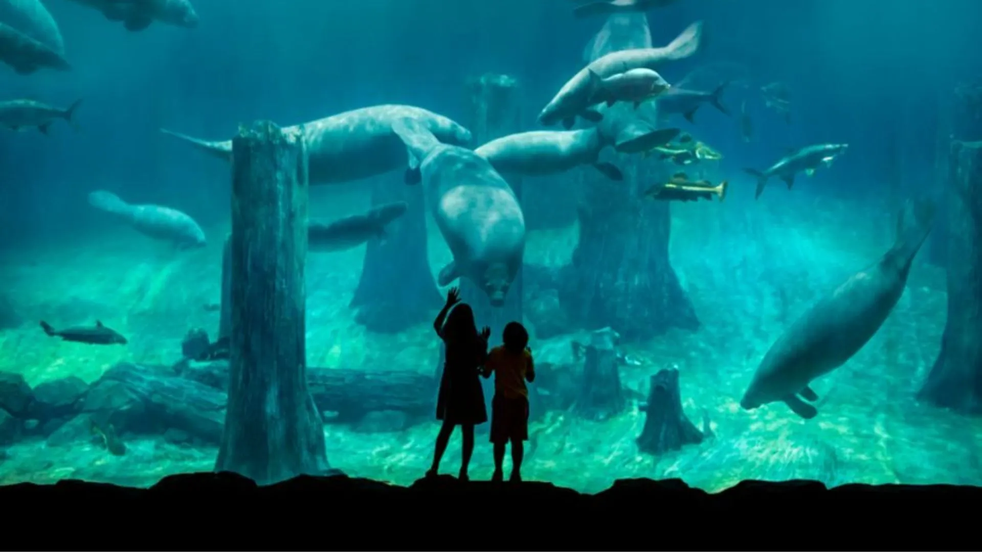 Sungei Buloh Wetland Reserve